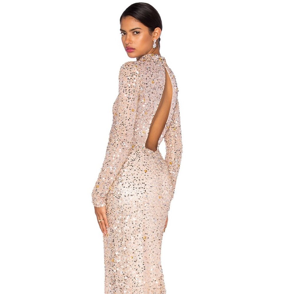 Parker Black Ronda Blush Sequin Embellished Long Gown Dress with Train 6